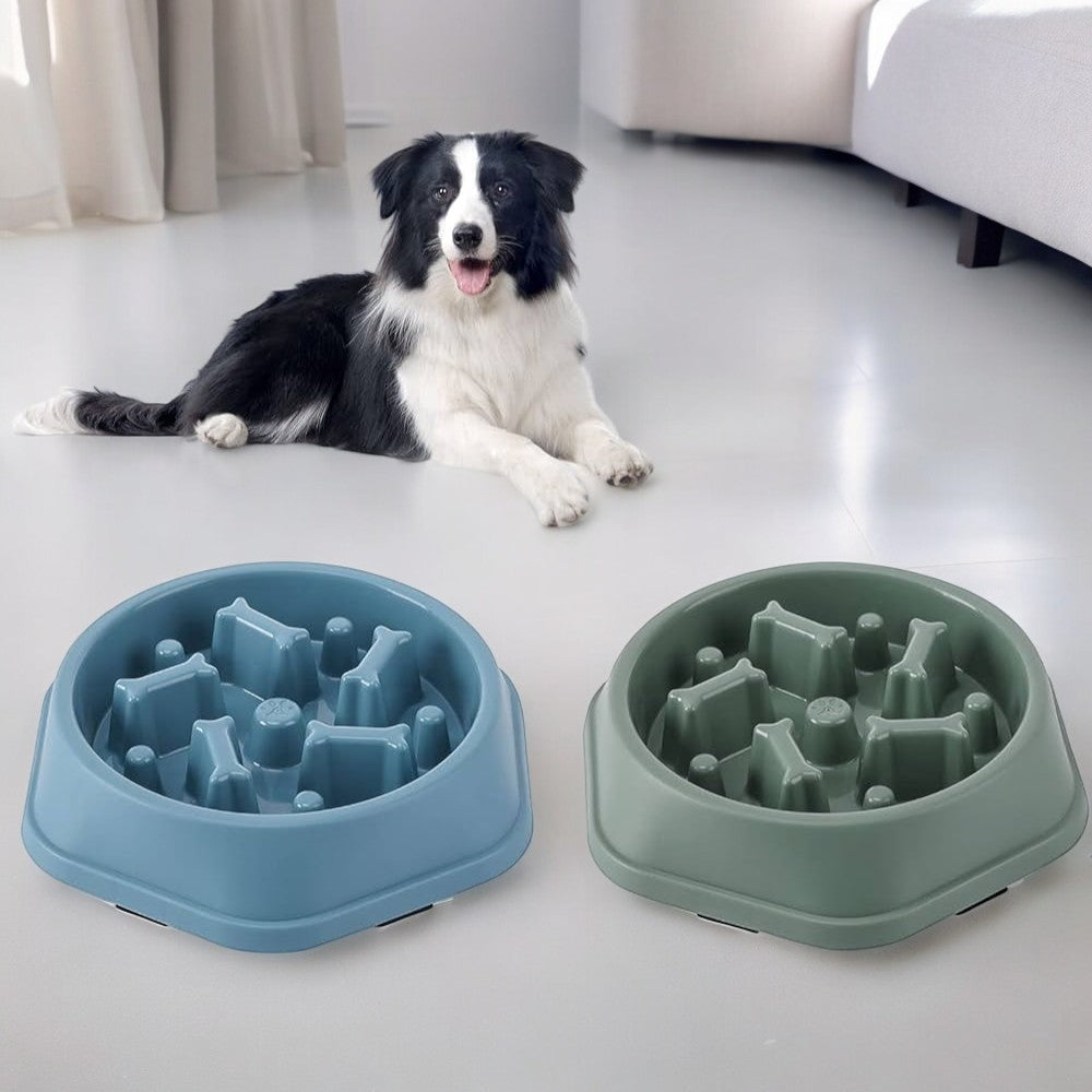 Slow Feeder Pet Bowl Blue