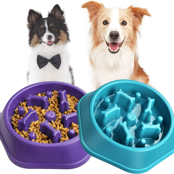 Slow Feeder Pet Bowl Blue