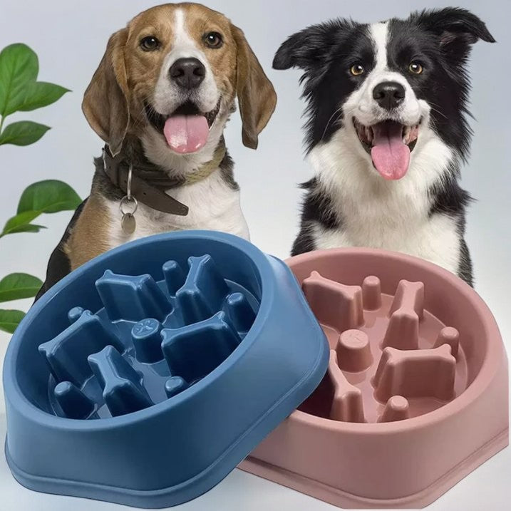 Slow Feeder Pet Bowl Blue